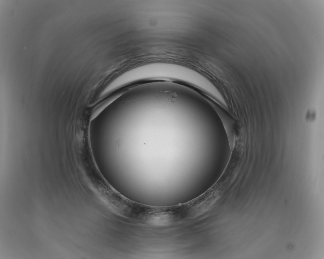 X0000091980456200709201430