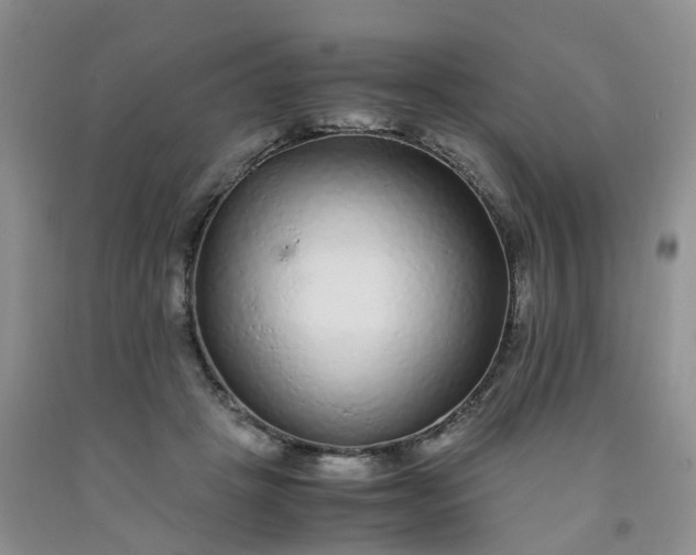 X0000091980457200709201430