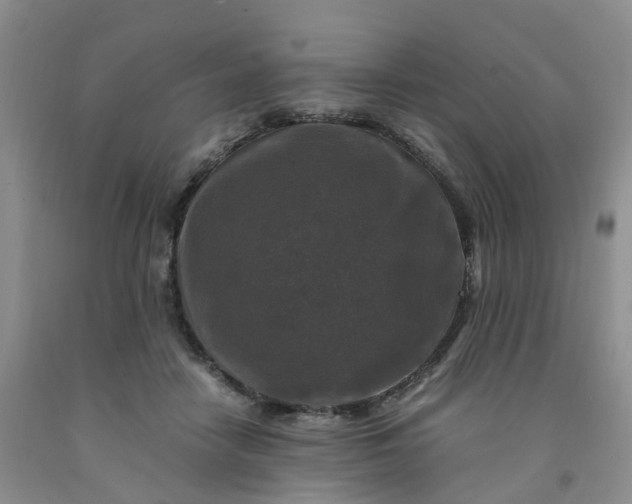 X0000091980458200709201430