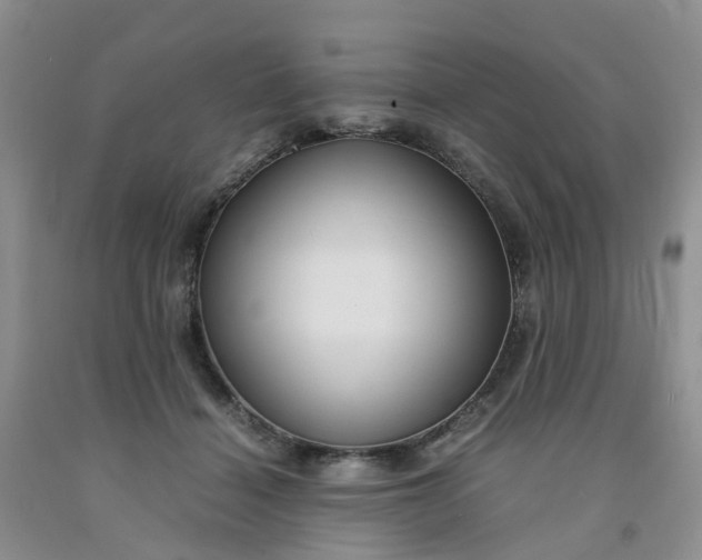 X0000091980460200709201430