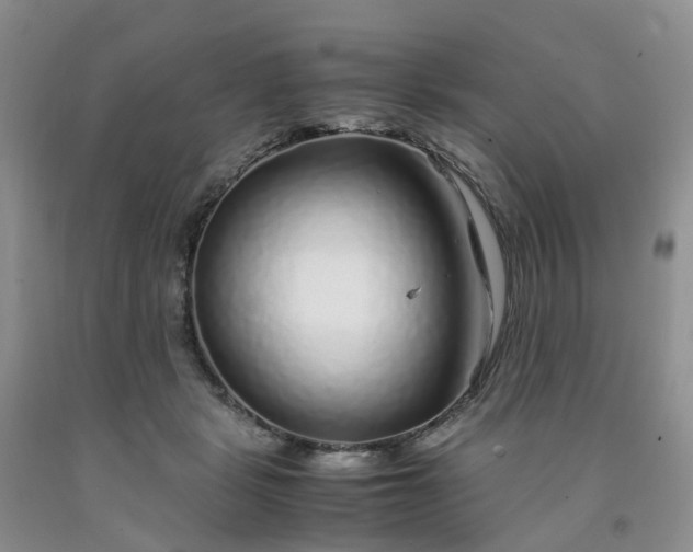 X0000091980461200709201430