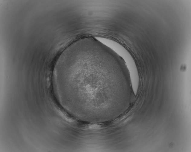 X0000091980462200709201430