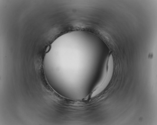 X0000091980463200709201430