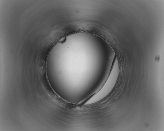 X0000091980464200709201430