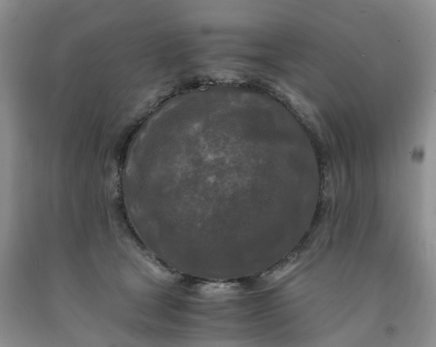 X0000091980465200709201430