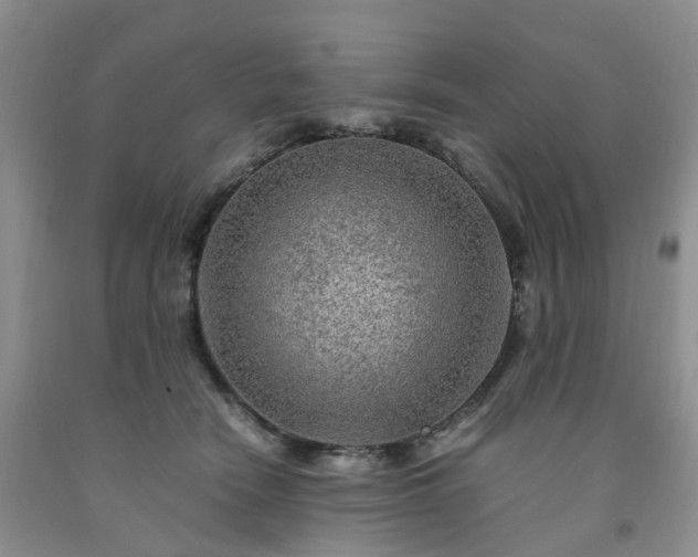 X0000091980466200709201430