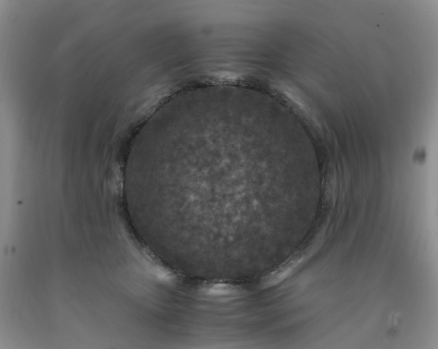 X0000091980467200709201430