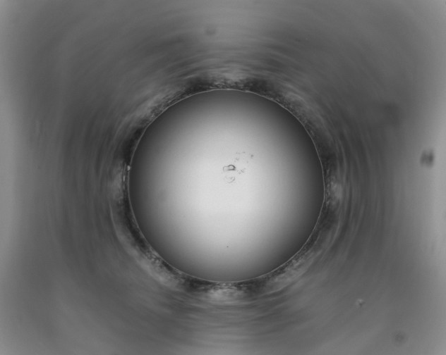 X0000091980468200709201430