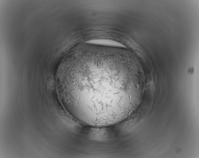 X0000091980469200709201430