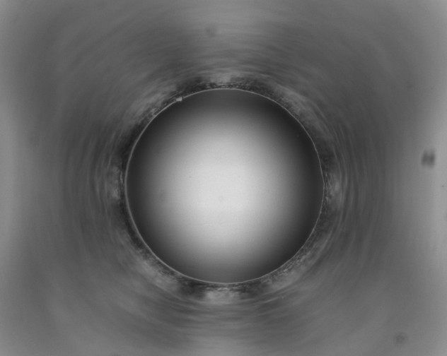 X0000091980470200709201430