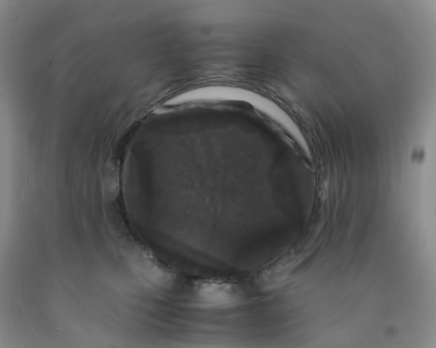 X0000091980471200709201430