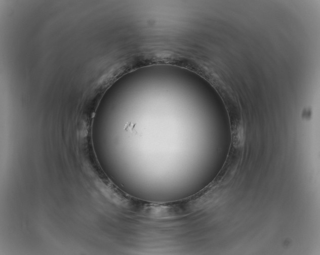 X0000091980472200709201430