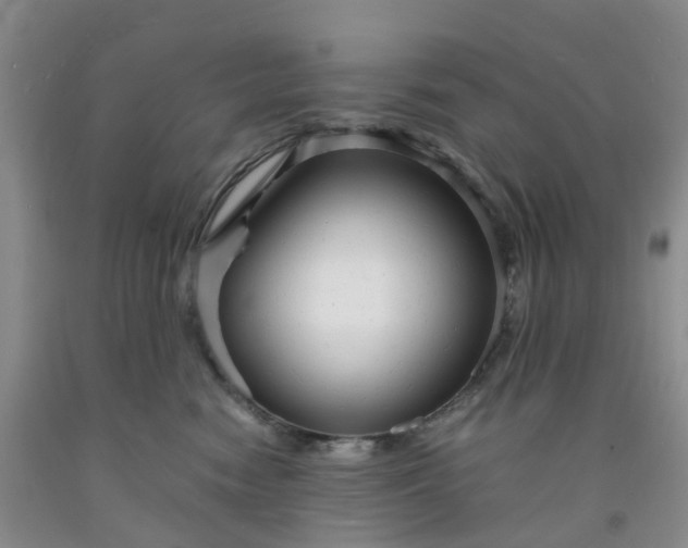 X0000091980474200709201430