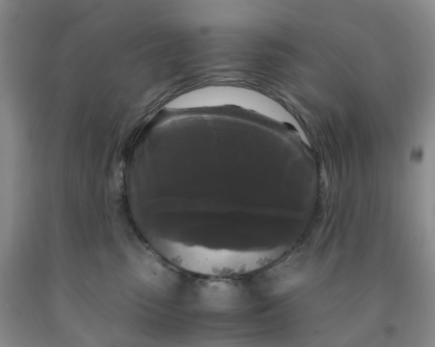 X0000091980475200709201430