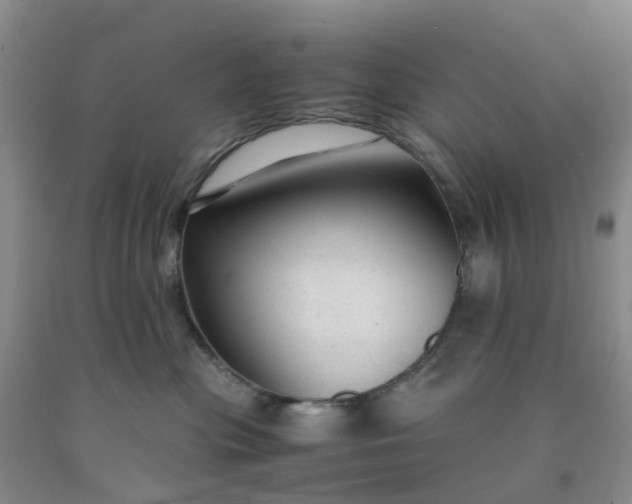 X0000091980477200709201430