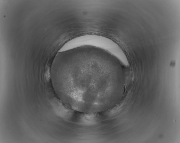 X0000091980479200709201430