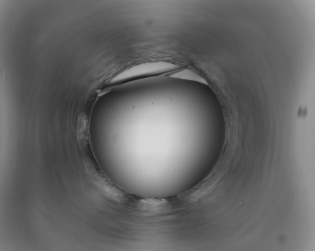 X0000091980480200709201430