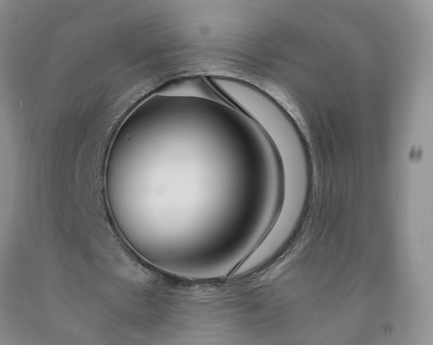 X0000091980481200709201429