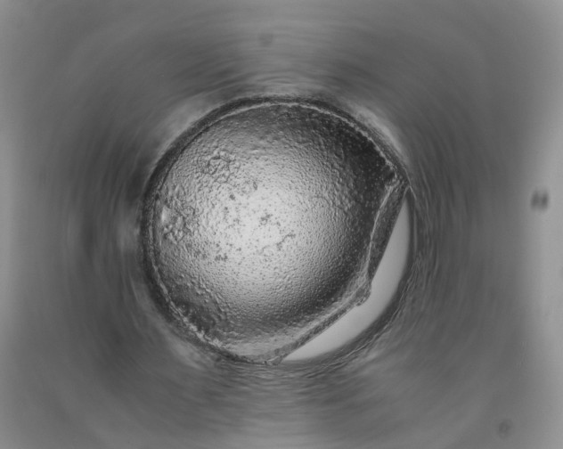 X0000091980483200709201429