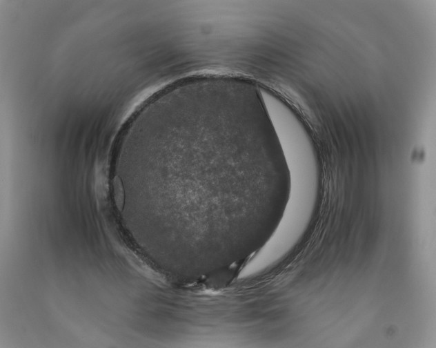 X0000091980484200709201429