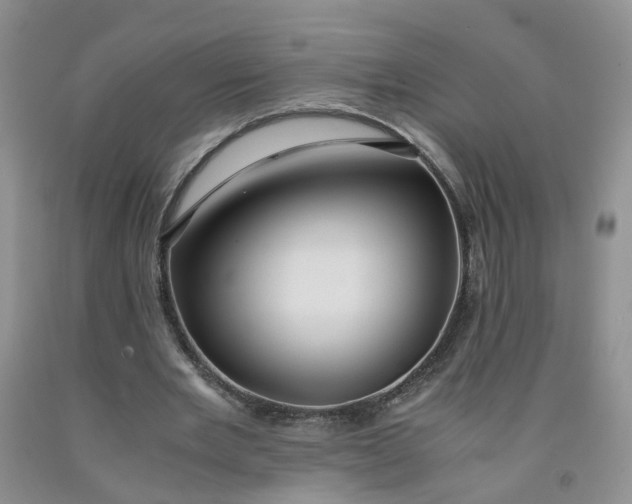 X0000091980485200709201429