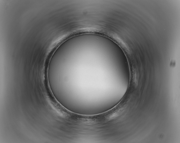 X0000091980486200709201429