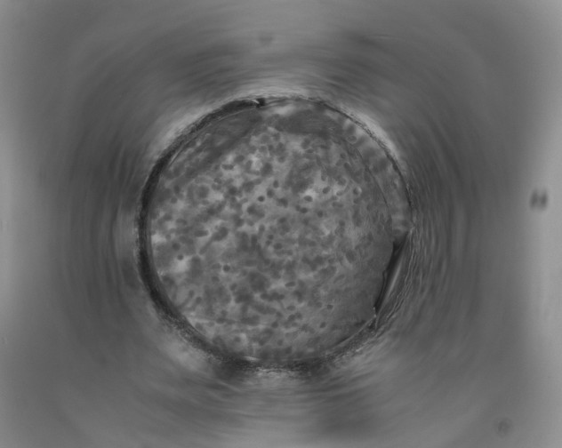 X0000091980487200709201429