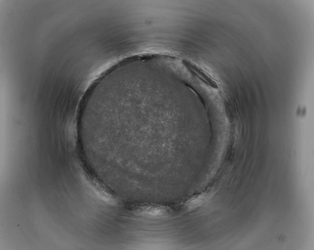 X0000091980488200709201429