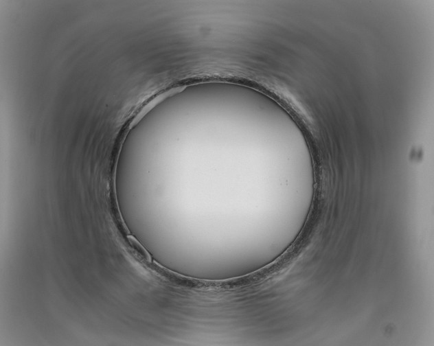 X0000091980489200709201429