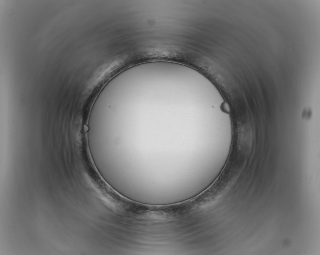 X0000091980490200709201429