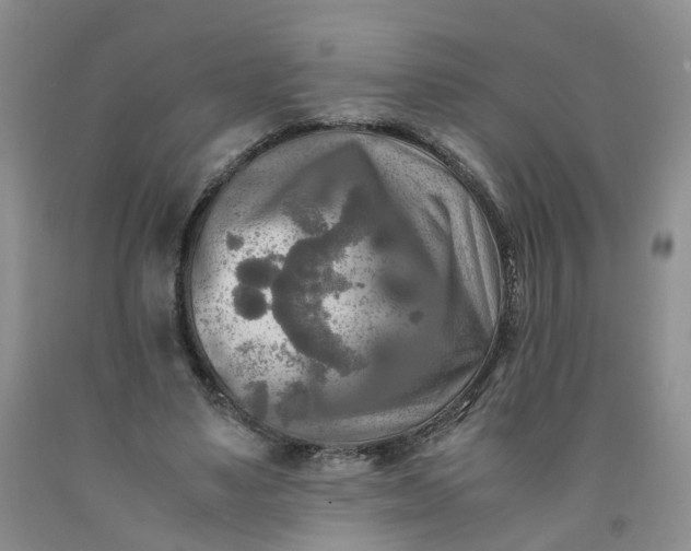 X0000091980491200709201429