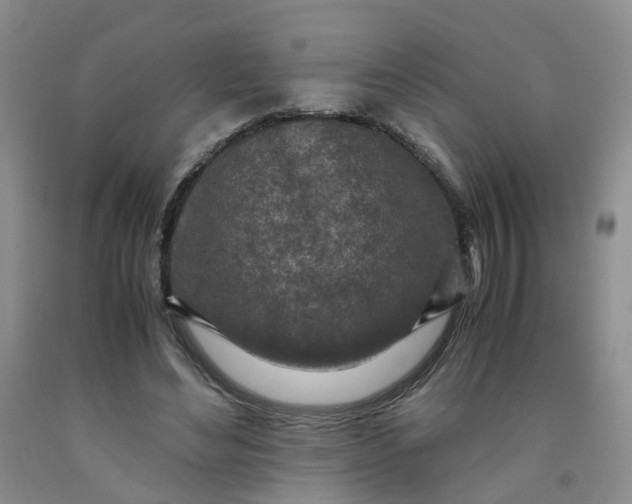 X0000091980492200709201429