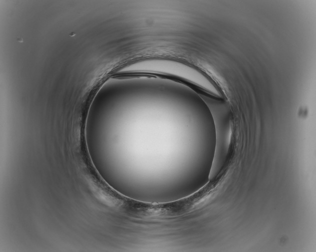 X0000091980493200709201429