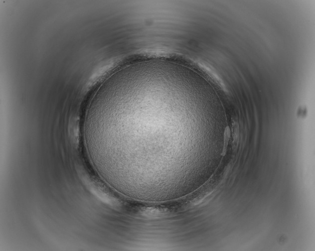 X0000091980494200709201429