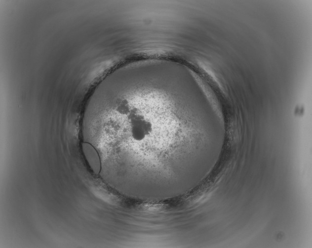 X0000091980495200709201429