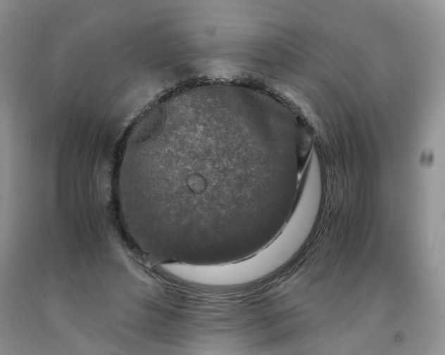 X0000091980496200709201429