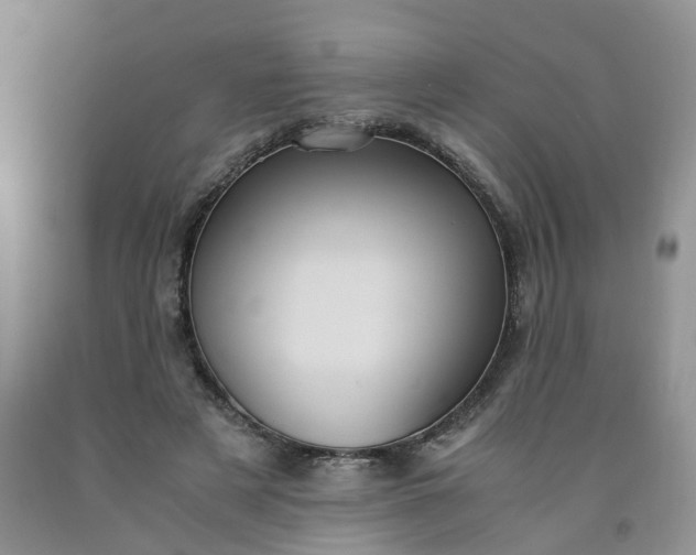 X0000091980497200709201429