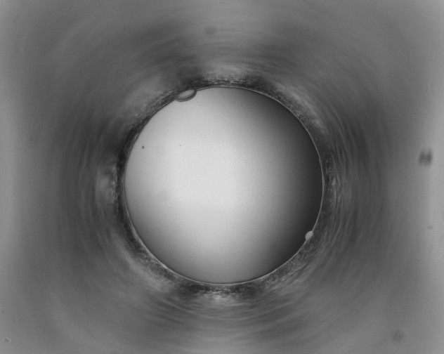 X0000091980498200709201429