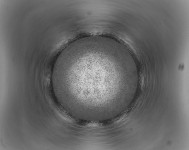 X0000091980499200709201429