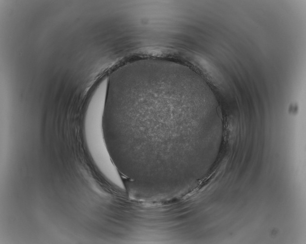 X0000091980500200709201429