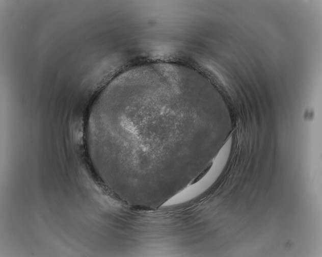 X0000091980502200709201429