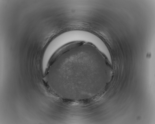 X0000091980504200709201429