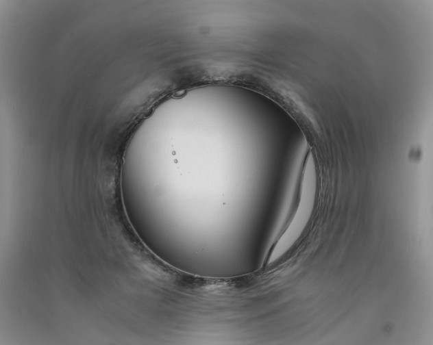 X0000091980505200709201429