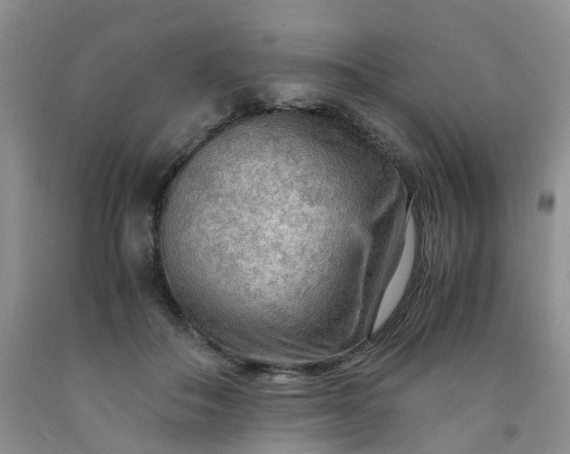 X0000091980506200709201429