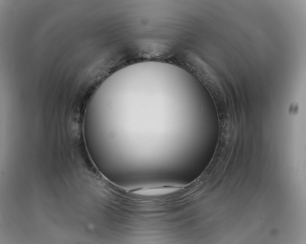 X0000091980510200709201429