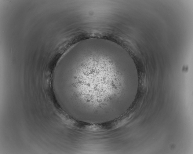 X0000091980511200709201429