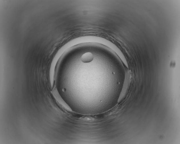 X0000091980512200709201429