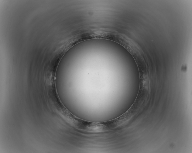 X0000091980514200709201429