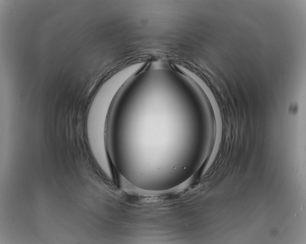 X0000091980516200709201429