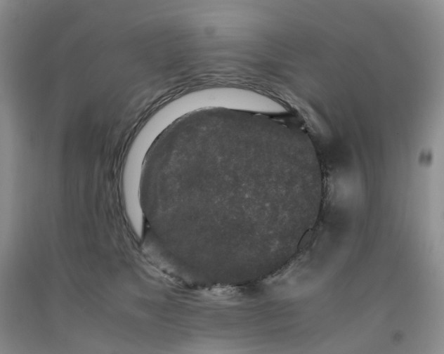 X0000091980517200709201429